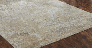 featured Ancient Boundaries Janet JAN-084 Beige Area Rug Floor Image