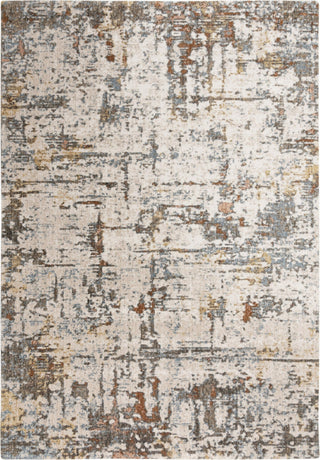 Rizzy Jasper JAS739 Ivory/Multi Area Rug