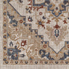 Livabliss Juliet JLT-2301 Area Rug Swatch