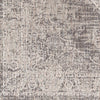 Livabliss Juliet JLT-2305 Area Rug Swatch