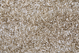 Feizy Jameson 39R8F Tan/Ivory Area Rug Close Up