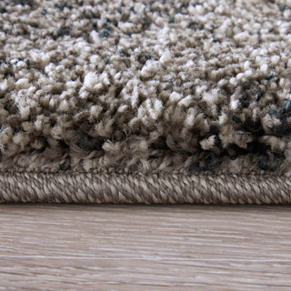 Feizy Jameson 39R8F Gray/Black Area Rug Lifestyle Image Feature