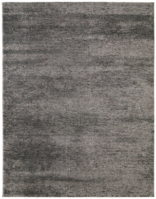 Feizy Jameson 39R8F Gray/Black Area Rug Main Image