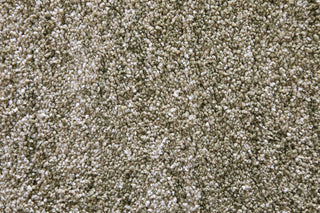 Feizy Jameson 39R8F Green/Ivory Area Rug Close Up