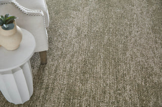 Feizy Jameson 39R8F Green/Ivory Area Rug Room Scene 2
