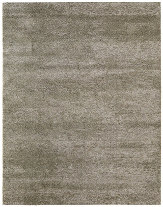 Feizy Jameson 39R8F Green/Ivory Area Rug main image