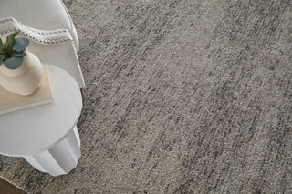 Feizy Jameson 39R8F Gray/Ivory Area Rug Lifestyle Image Feature