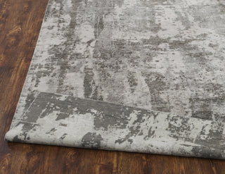 Ancient Boundaries Janet JAN-082 Grey Area Rug main image