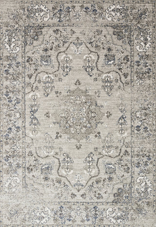Loloi Joaquin JOA-02 Dove/Grey Area Rug Main Image