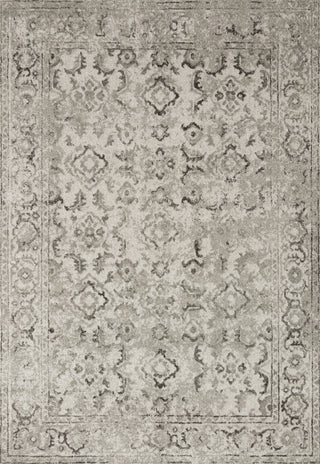 Loloi Joaquin JOA-05 Silver/Grey Area Rug Main Image