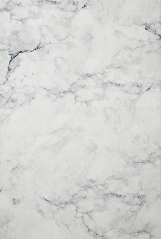 Loloi II Joelle JOE-04 Ivory/Smoke Area Rug main image