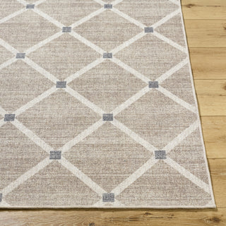 Livabliss Judie JUD-2302 Area Rug Angle