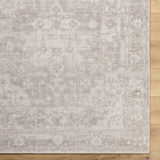 Livabliss Judie JUD-2303 Area Rug Detail Image