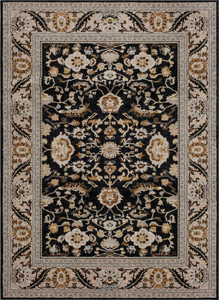 Karastan Zephyr Julienne Soot Area Rug