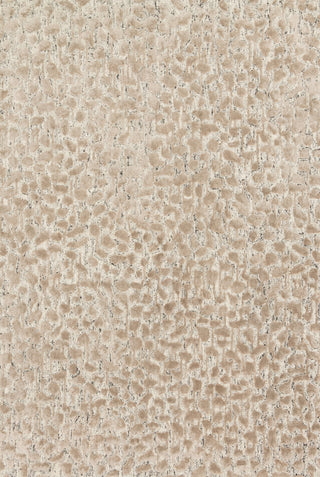Loloi Juneau JY-02 Ash / Taupe Area Rug main image