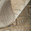 Feizy Jaxson 39PZF Ivory/Tan/Gray Area Rug Detail Image