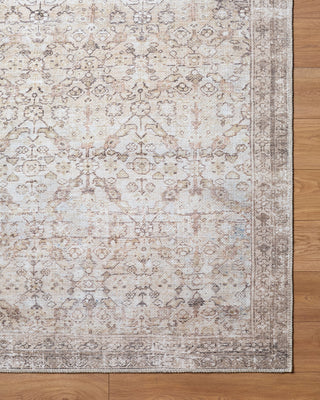 Livabliss Amelia JYAL-2301 Machine Washable Area Rug Overhead Image