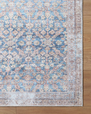 Livabliss Amelia JYAL-2302 Machine Washable Area Rug Overhead Image