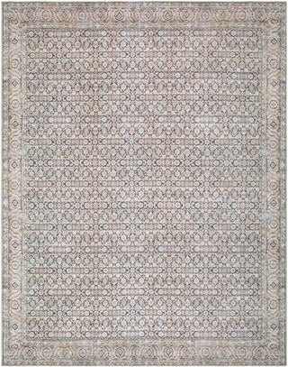 Livabliss Sylvia JYSL-2301 Machine Washable Area Rug main image