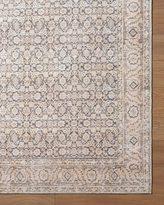Livabliss Sylvia JYSL-2301 Machine Washable Area Rug Overhead Image