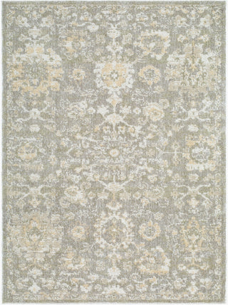 Livabliss Jazz JZZ-2303 Area Rug main image