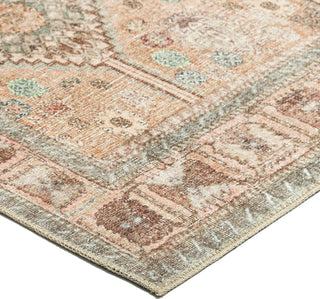 Dalyn Kars KA10 Taupe Area Rug