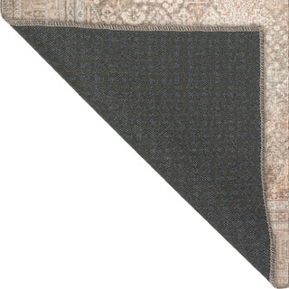 Dalyn Kars KA11 Biscotti Area Rug