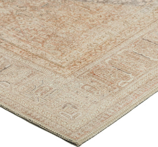 Dalyn Kars KA11 Biscotti Area Rug