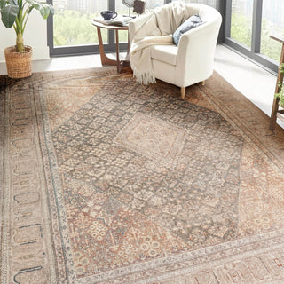 Dalyn Kars KA11 Biscotti Area Rug Lifestyle Image Feature