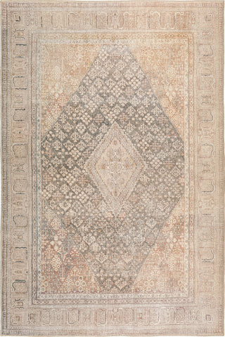 Dalyn Kars KA11 Biscotti Area Rug