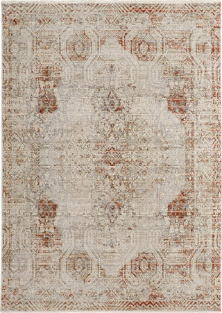 Feizy Kaia 39GKF Gray/Rust Area Rug