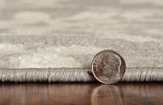 KAS Skyline 6419 Grey/Ivory Flora Area Rug Corner Image