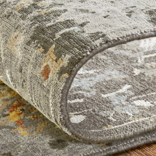 Ancient Boundaries Harvest HAR-1141 Grey Tones/Multi Area Rug Alternative Image