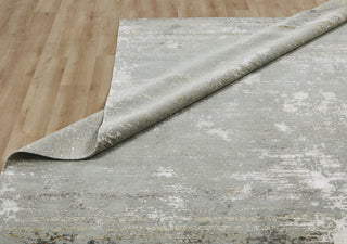 Ancient Boundaries Harvest HAR-1146 Silver Mist Area Rug Alternative Image