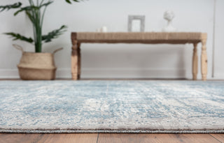Ancient Boundaries Kerri KER-11 Area Rug Closeup Image