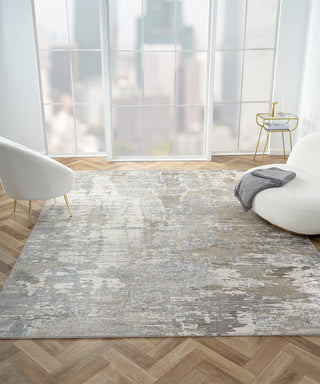 Ancient Boundaries Kerri KER-640 Grey Area Rug Alternative Image