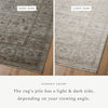 Katherine KES-03 Beige/Mist Area Rug by Jean Stoffer X Loloi Lifestyle Image Feature