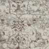 Nourison Royal Terrace KI43 Beige Area Rug by Home Swatch Image