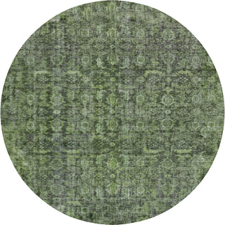 Dalyn Karaj KJ3 Cactus Machine Washable Area Rug Round Main Image