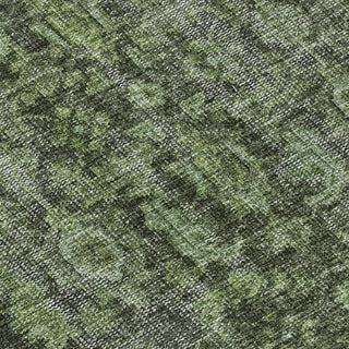 Dalyn Karaj KJ3 Cactus Machine Washable Area Rug Swatch Image