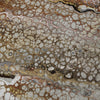 Dalyn Kikiamo KK15 Canyon Machine Washable Area Rug Swatch Image
