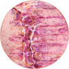 Dalyn Kikiamo KK16 Flamingo Machine Washable Area Rug Round Main Image