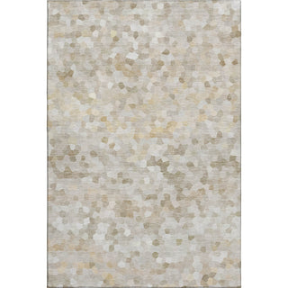 Dalyn Kaleidoscope KL1 Putty Machine Washable Area Rug main image