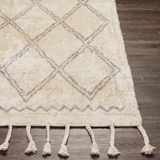 Surya Khemisset KMS-2304 Area Rug Angle