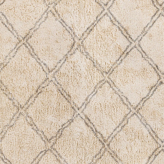 Surya Khemisset KMS-2304 Area Rug Swatch