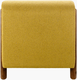 Surya Kenwood KNW-003 Yellow / Dark Brown Furniture Main Image