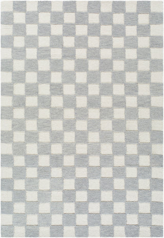 Livabliss Klopp KPP-2300 Pewter Area Rug main image