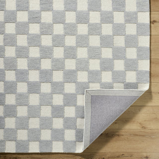 Livabliss Klopp KPP-2300 Pewter Area Rug Pile