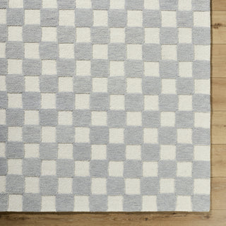 Livabliss Klopp KPP-2300 Pewter Area Rug 