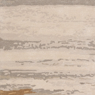 Surya Kavita KVT-2303 Area Rug Swatch